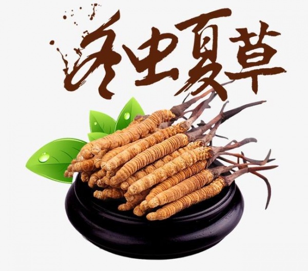 上海市回收冬虫夏草 包括断 瘪 混 统 精选5A礼品草
